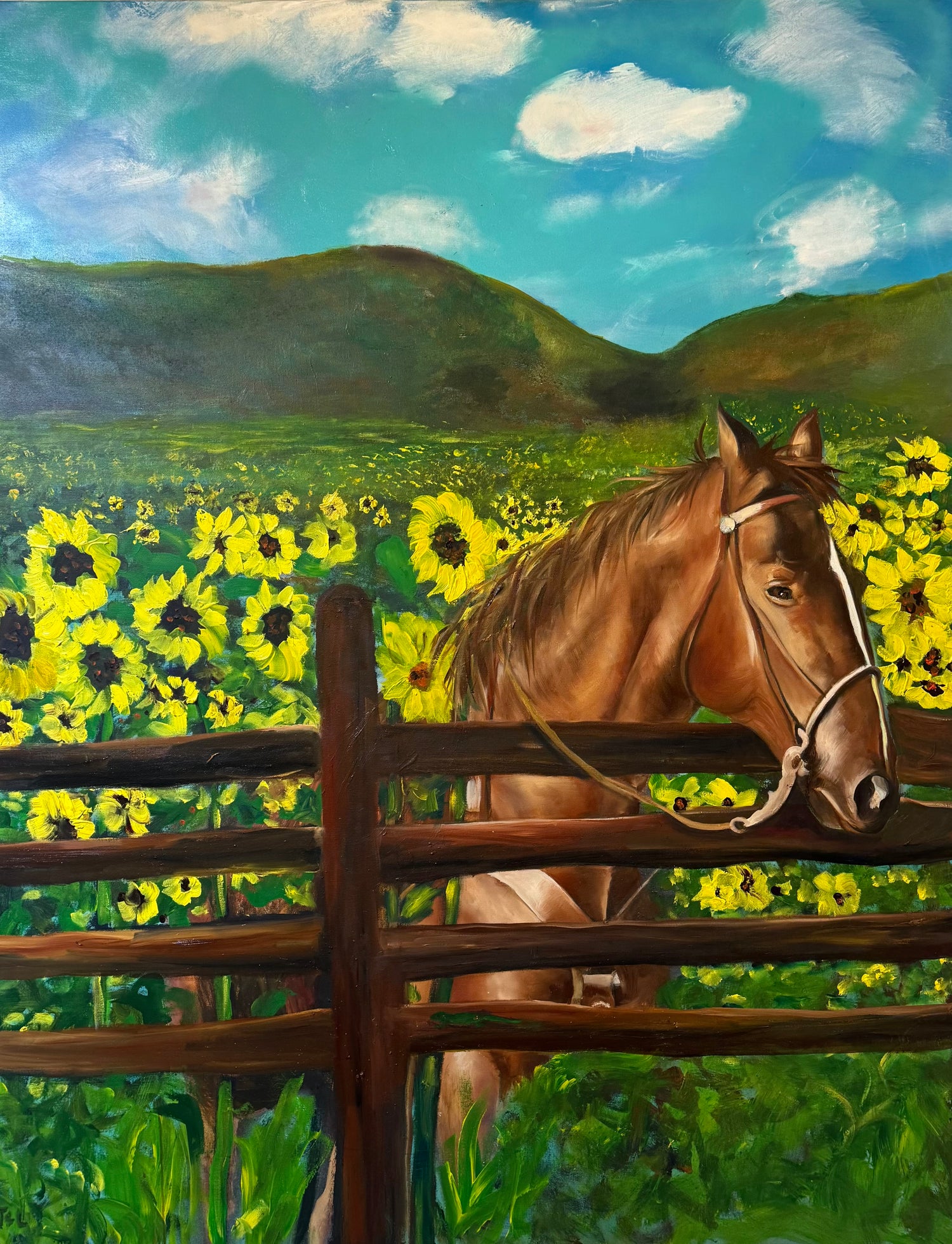 “Horsing Around in the Sunflowers”
