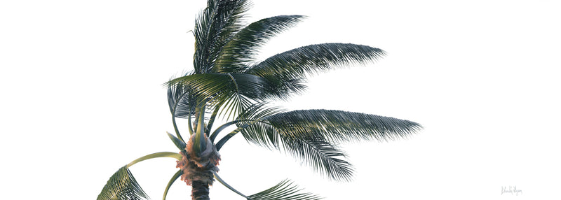 "Right Now" by Charlie Lyon